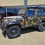 badcars_20260514_120102
